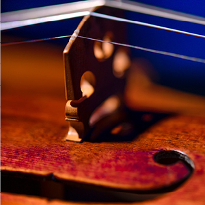 Cello