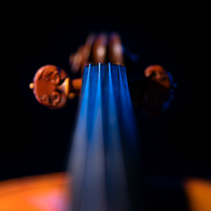 Violin neck