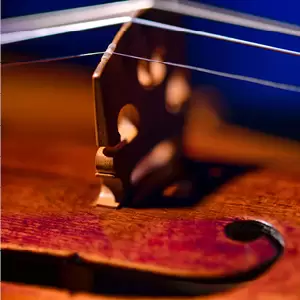 Cello